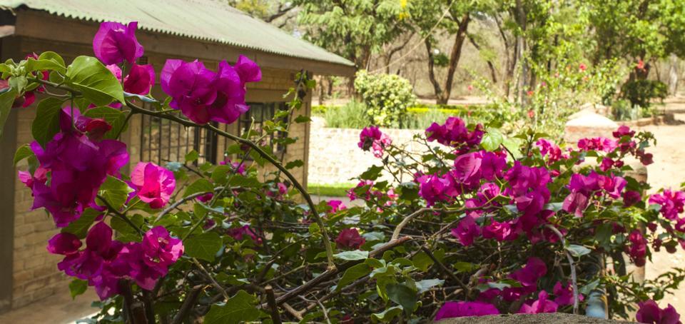 Woodlands Lilongwe Hotel Exterior photo